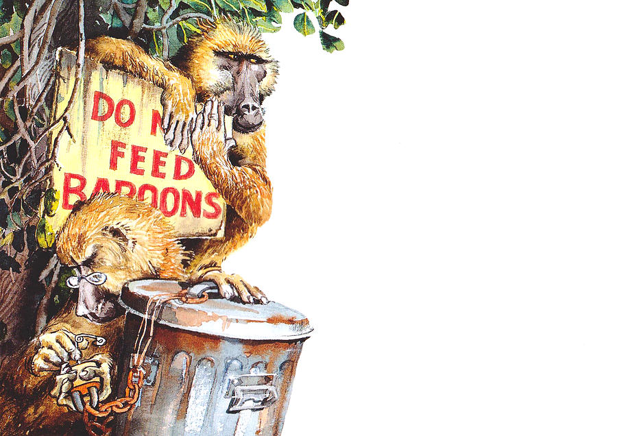 Rose Rigden Do feed the baboons Painting by Rose Rigden - Pixels