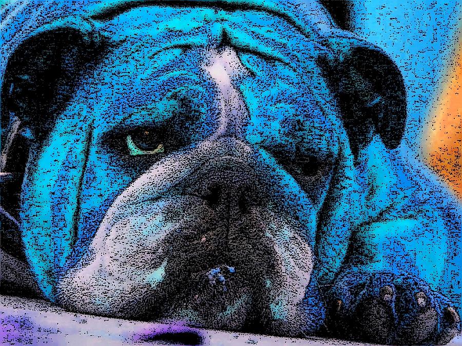 Dog Digital Art - Do I Look Like I Am A Happy Dog by Kathy Budd
