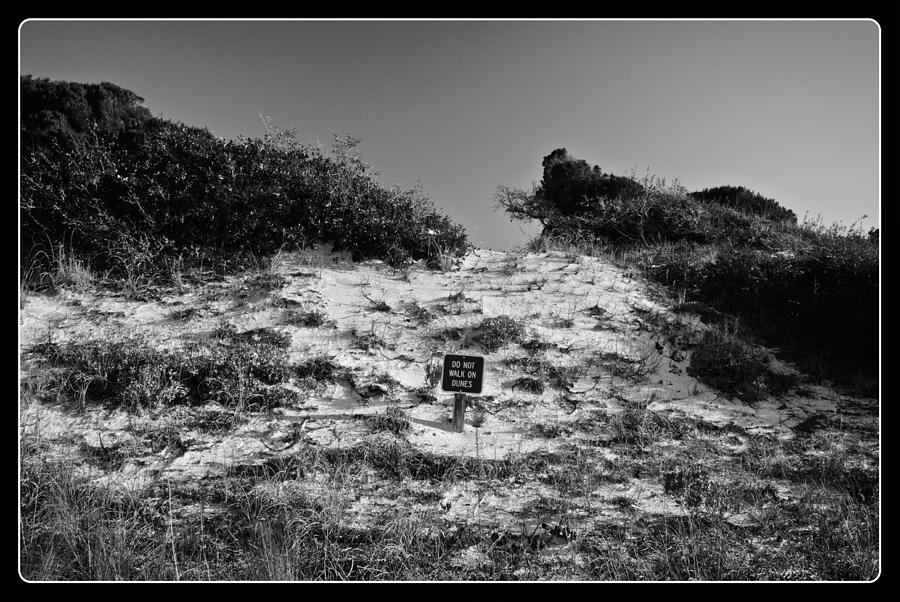 Do Not Disturb the Dunes Photograph by George Taylor