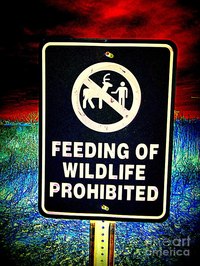 Do Not Feed The Animals Photograph by Ed Weidman - Fine Art America