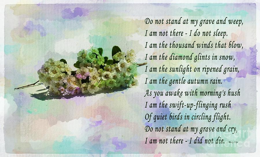 Verse Photograph - Do Not Stand at My Grave and Weep by Barbara A Griffin