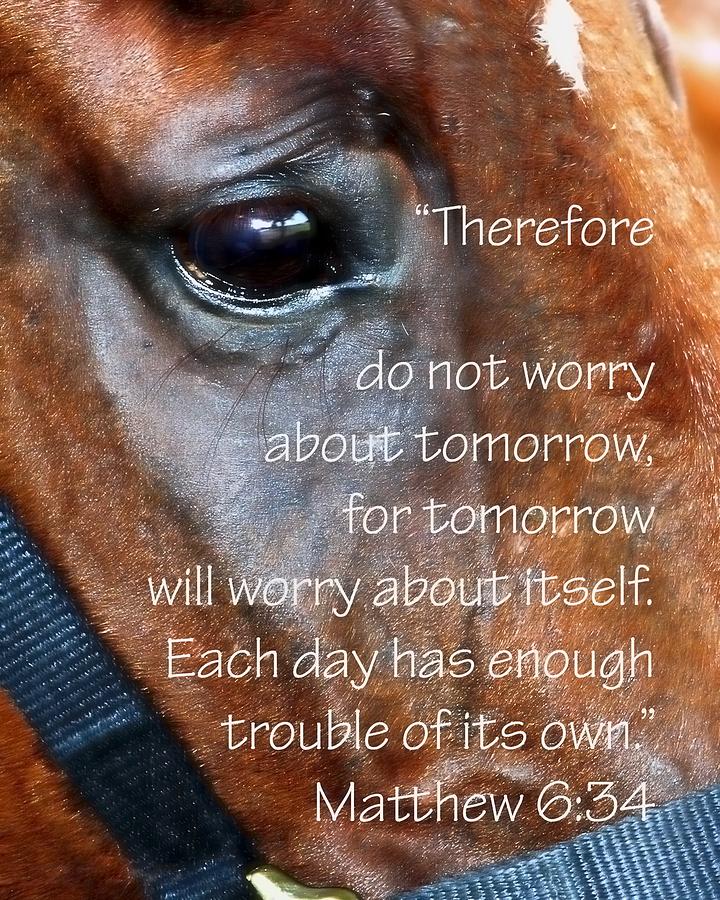 Do Not Worry 21032 Photograph by Jerry Sodorff