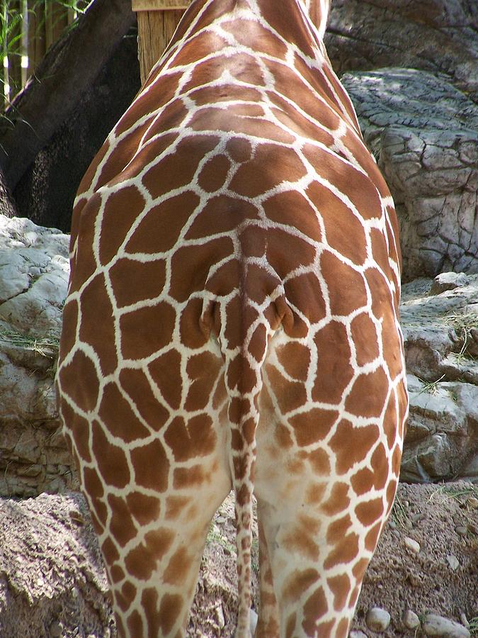 Do these lines make my butt look big? Photograph by Jewels Hamrick