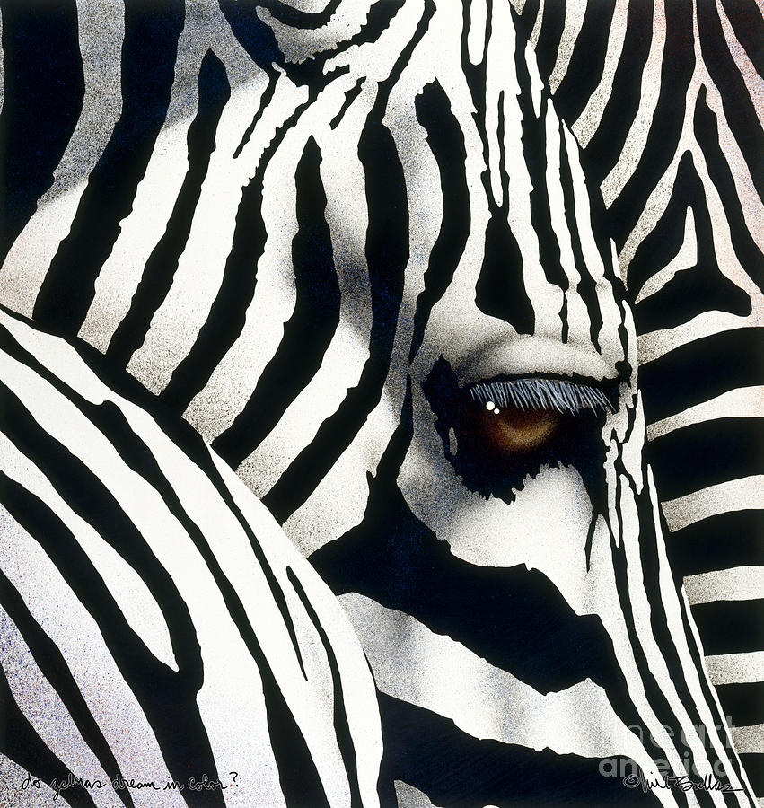 do zebras dream in color? by Will Bullas Painting by Will Bullas