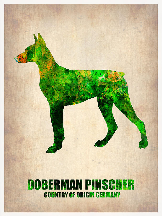 Doberman Pinscher Painting - Doberman Pinscher Poster by Naxart Studio
