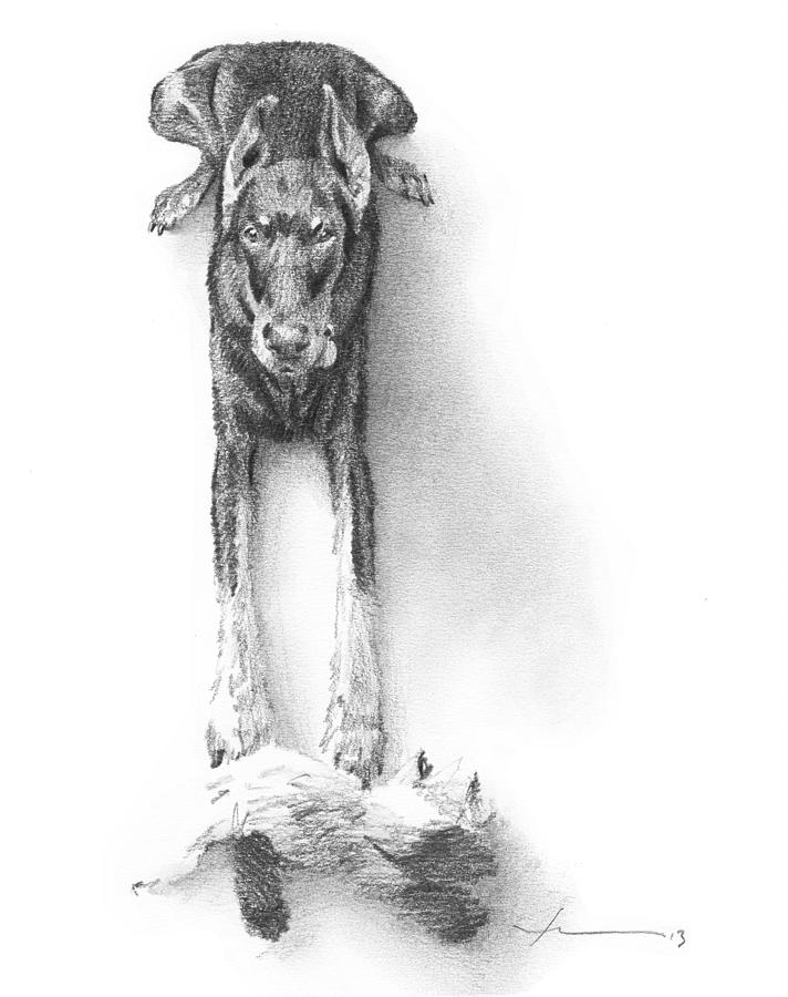 dobermans in pencil sketch