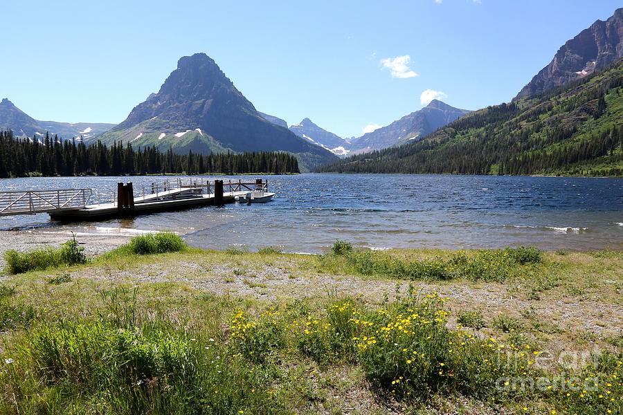 Dock and Wildflowers at Lower Two Medicine Lake Photograph by Carol Groenen