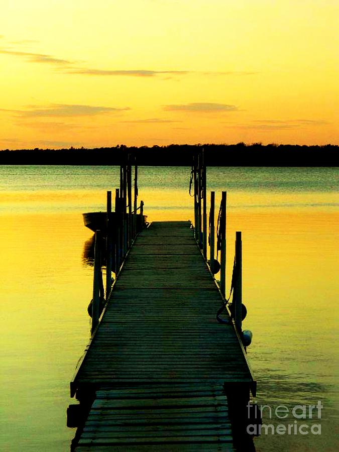 Dock at Dawn Photograph by Desiree Paquette