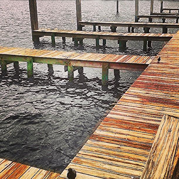 Bird Photograph - #dock, #boatslip, #river, #water by Melissa Hardecker