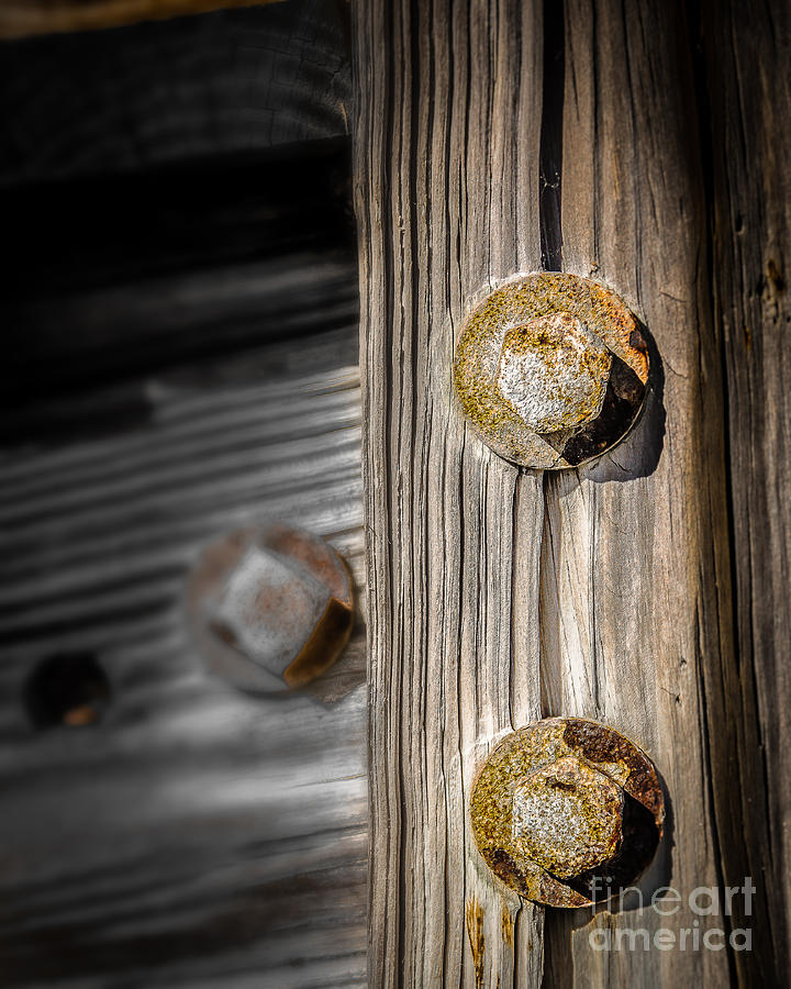 Dock Bolts Photograph by Perry Webster