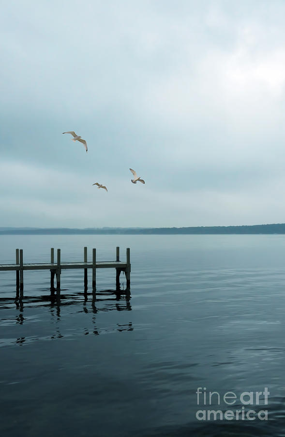 Bird Photograph - Dock on a Moody Lake by Jill Battaglia