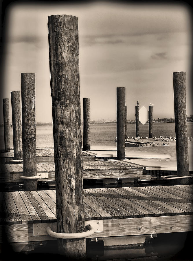 Dock Posts On The Potomac Photograph by Steven Ainsworth