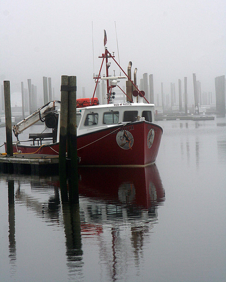 Docked in Fog Photograph by William Selander