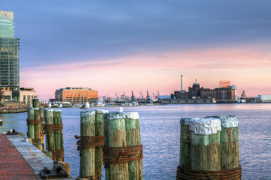 Baltimore Photograph - Dockside by JC Findley