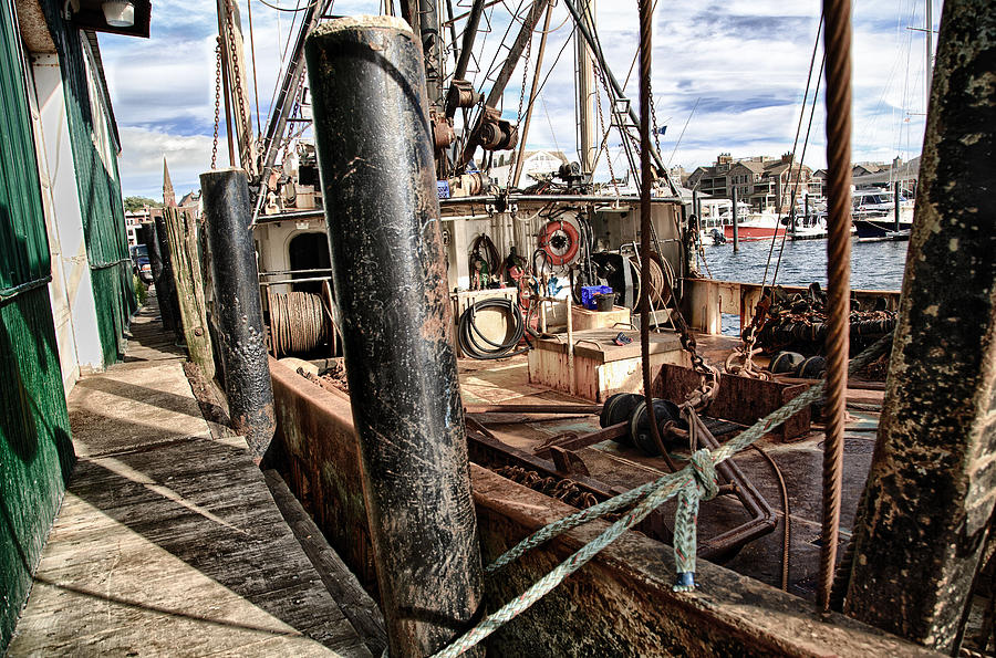 Dockside Photograph by John Hoey