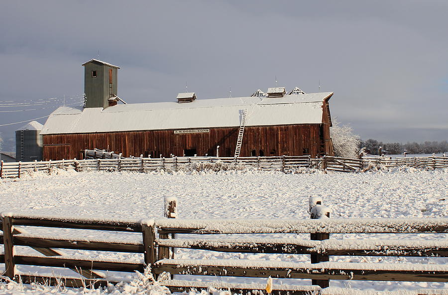 Dodd Barn Snowy Photograph by Trent Mallett