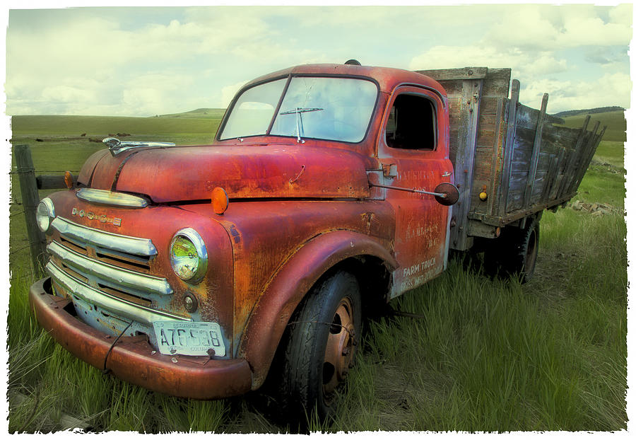 Dodge Farm Truck  Photograph by Theresa Tahara