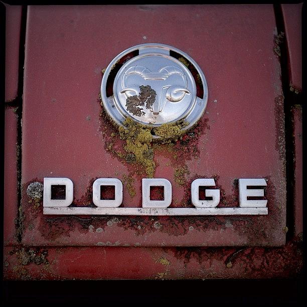 Igers Photograph - Dodge. #instagood #picoftheday by Kevin Smith