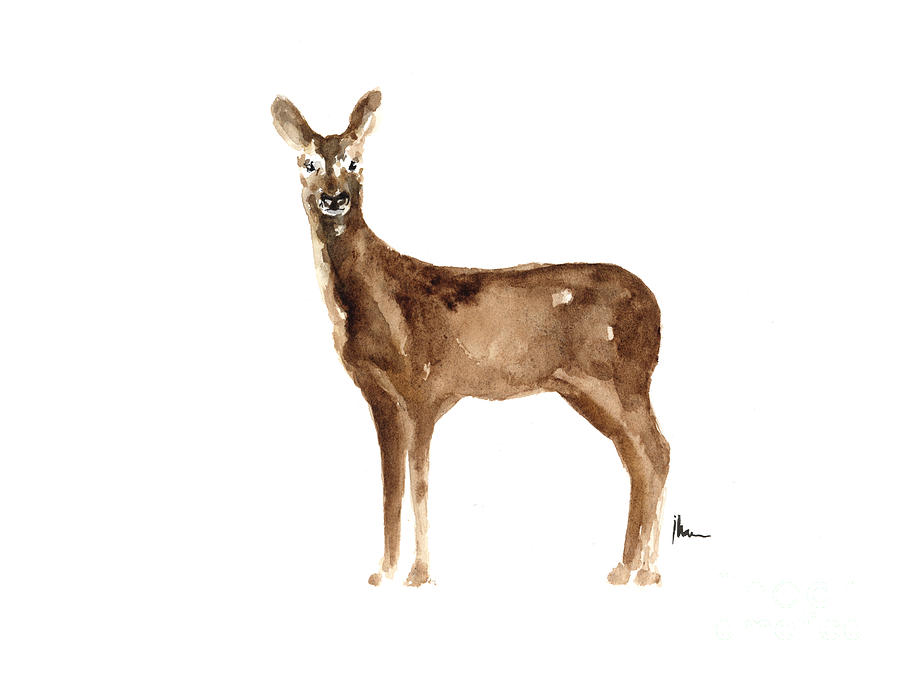 Deer Painting - Doe original artwork watercolor painting by Joanna Szmerdt