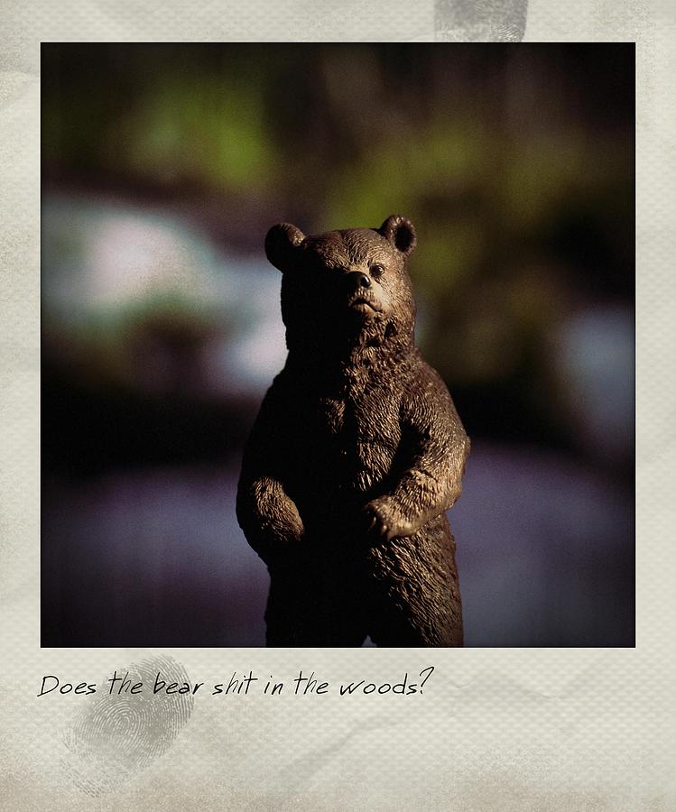 Does The Bear? Polaroid Photograph by Bradley R Youngberg
