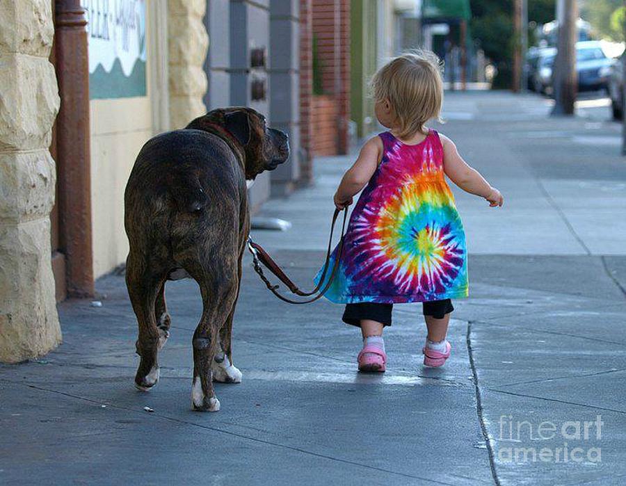 Animal Photograph - Dog And Baby On A Walk by Bozena Simeth