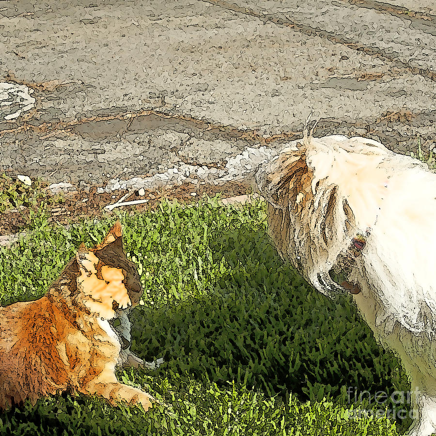 Dog And Cat Fight Painting - Dog and Cat Discuss by Artist and Photographer Laura Wrede