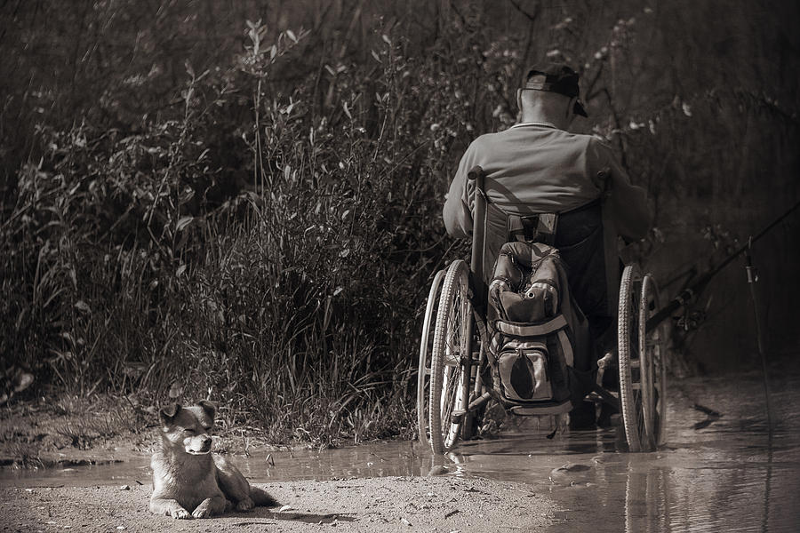 Dog Photograph - Dog and disabled #1 by Algirdas Gelazius