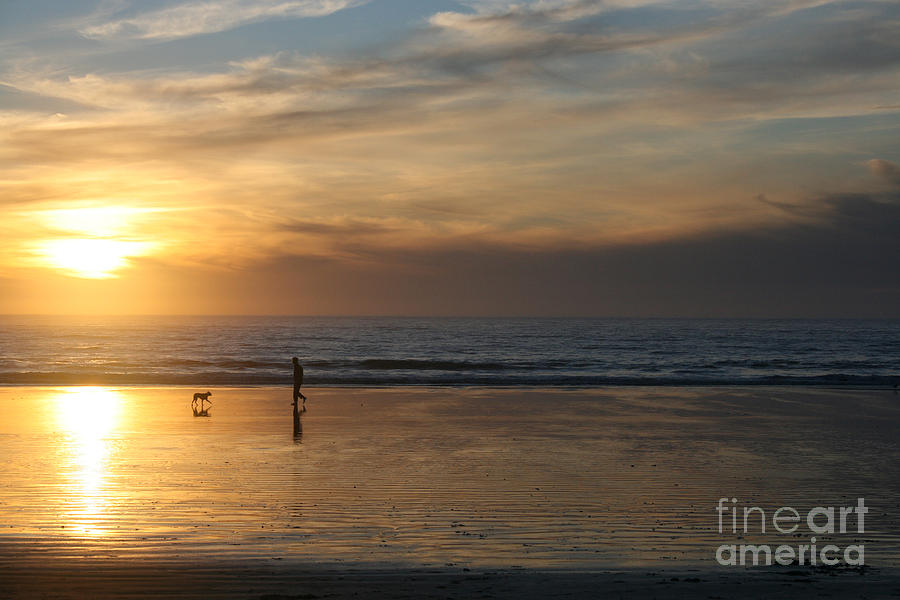 Nature Photograph - Dog and Man on The Beach by Ian Donley