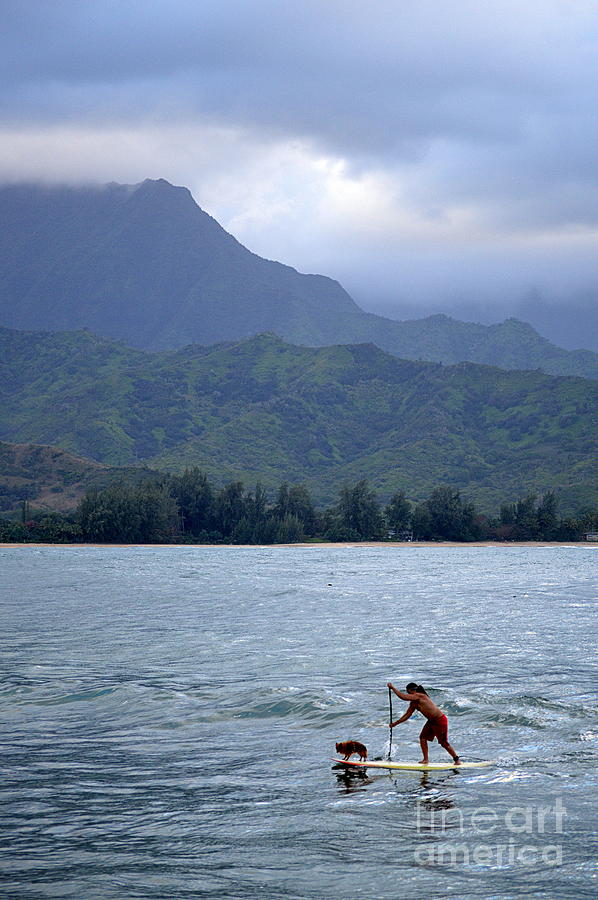Dog and Man Paddleboarding in Hanalei Bay Photograph by Catherine Sherman