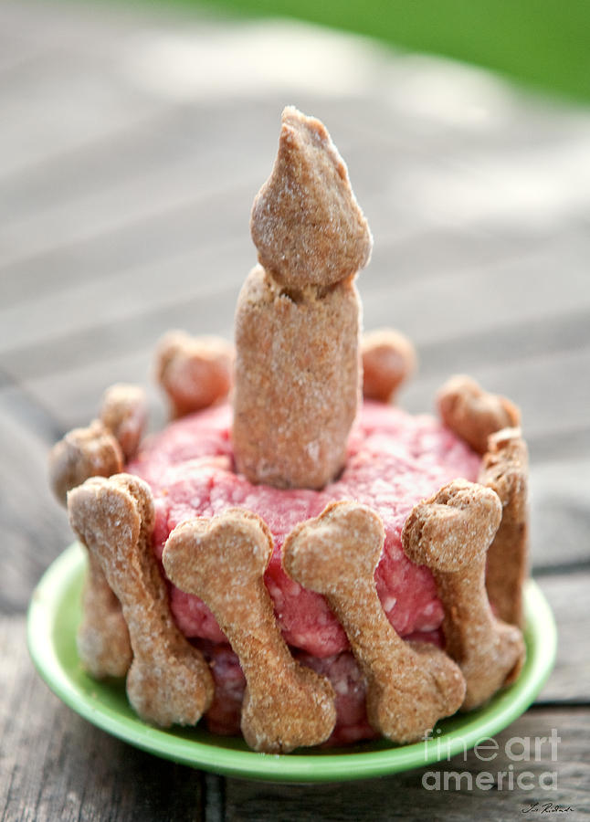 Food Photograph - Dog Birthday cake by Iris Richardson
