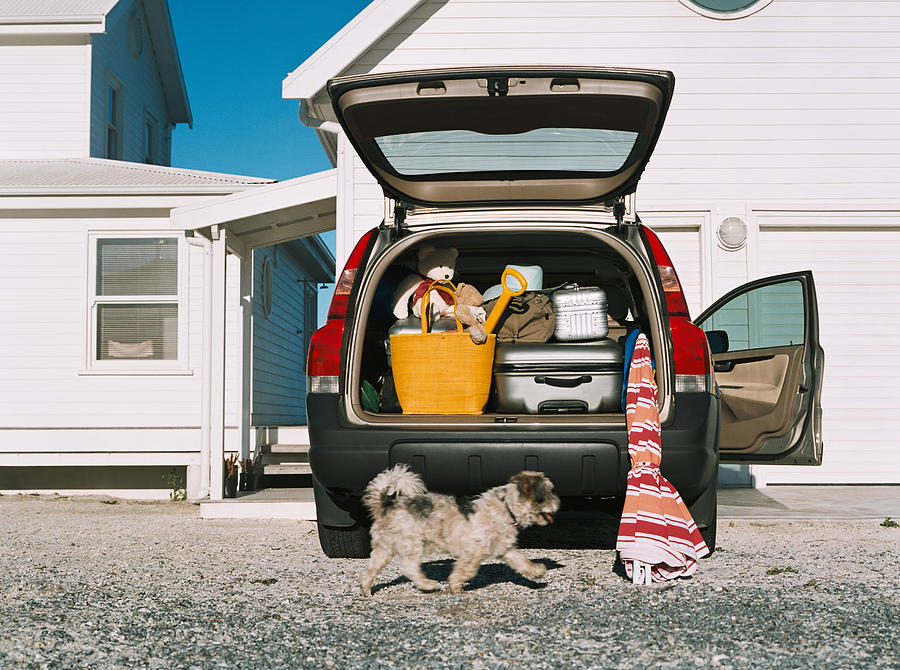 Dog by car full of luggage Photograph by Image Source