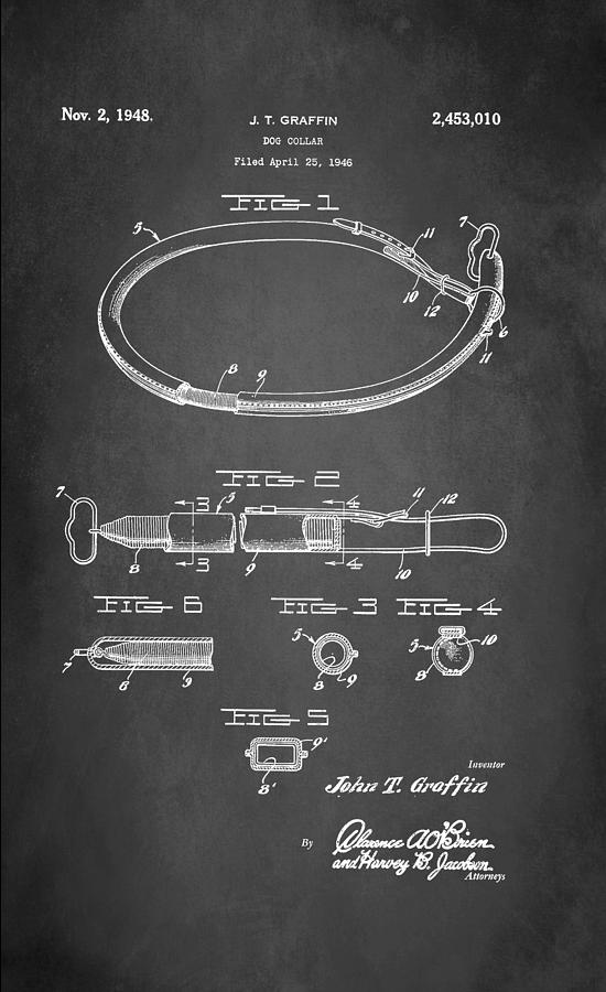 Dog Collar Patent 1948 Digital Art by Patricia Lintner