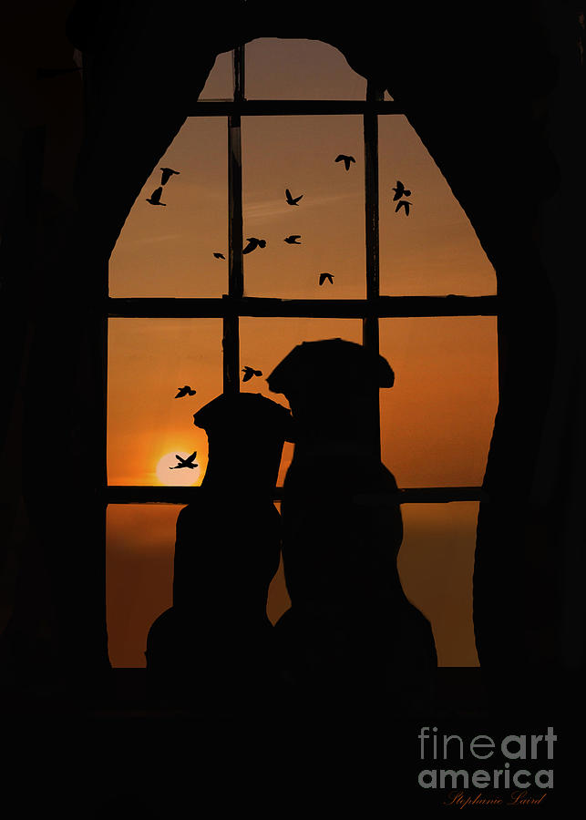 Dog Photograph - Dog Couple in Window by Stephanie Laird