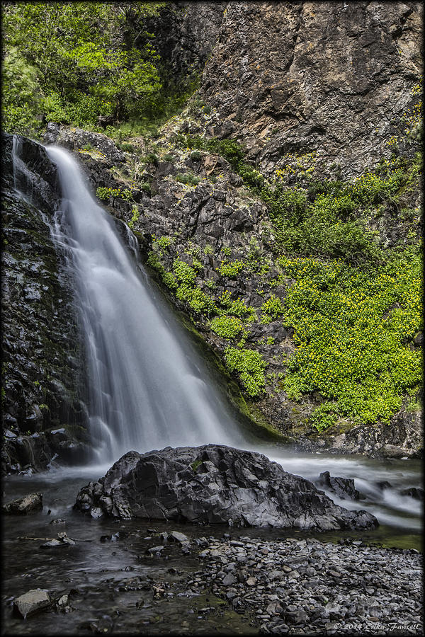 Dog Creek Falls Photograph by Erika Fawcett