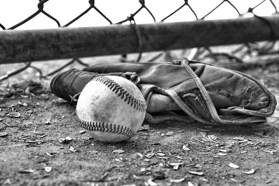 Baseball Photograph - Dog Dayz of Summer by David Brown