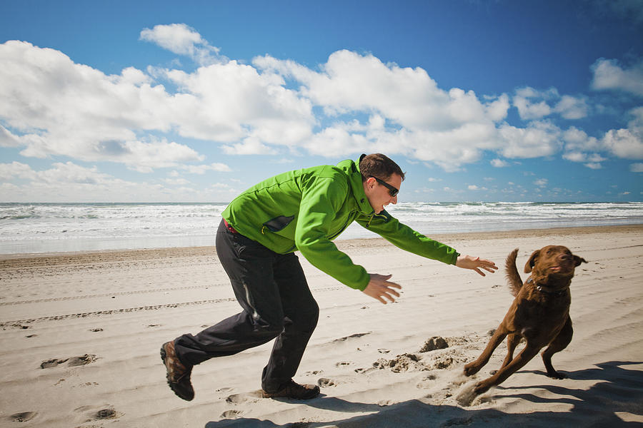 Dog evades owner Photograph by Christopher Kimmel