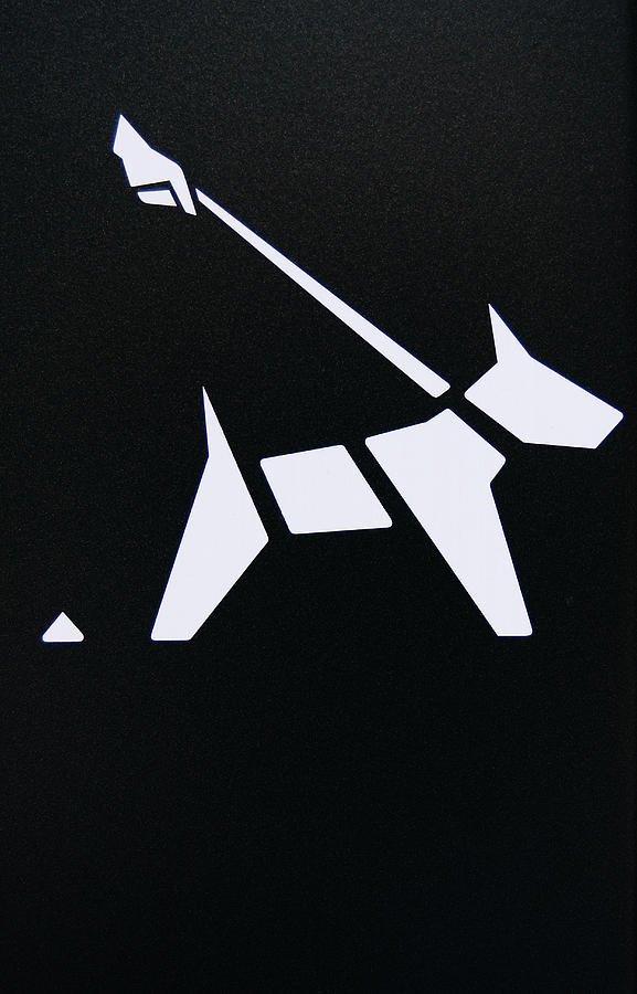 Dog Fouling Sign Photograph by Stuart Paton