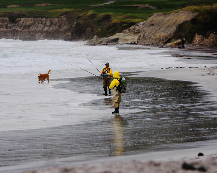 Beach Photograph - Dog Friendly Carmel by Kandy Hurley