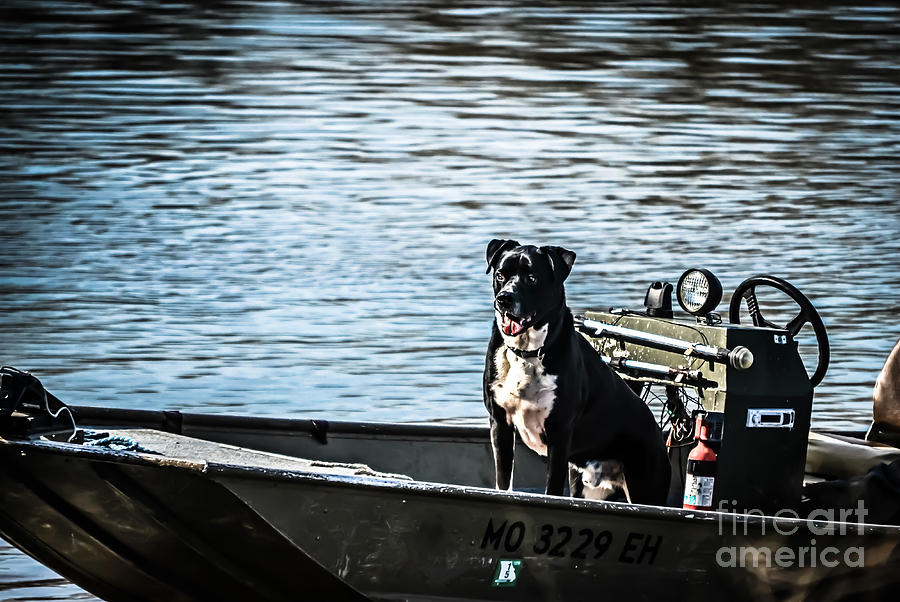Nature Photograph - Dog Gone Fishing by Peggy Franz