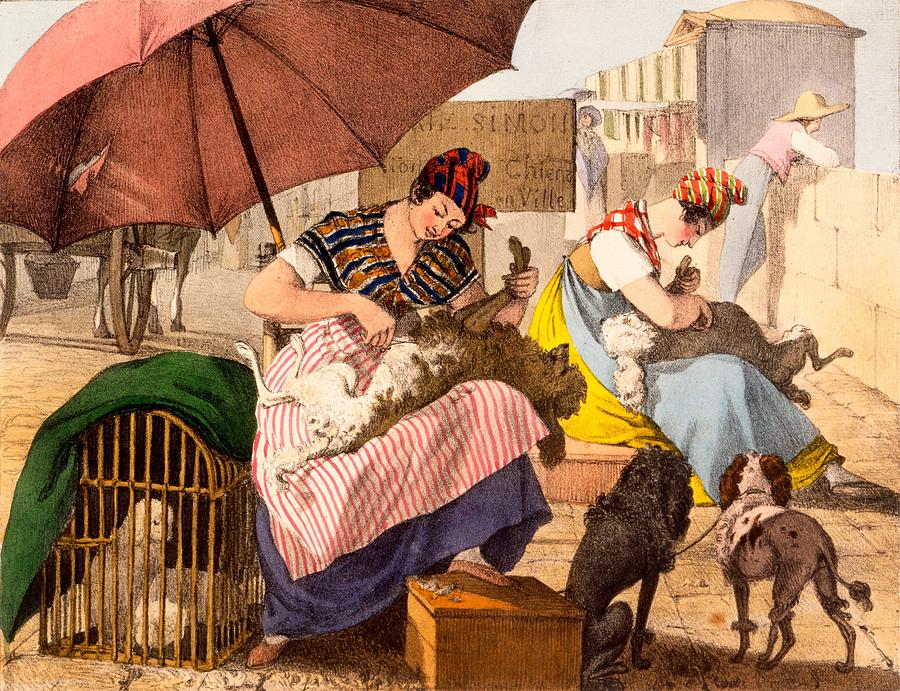 Poodle Drawing - Dog Groomers, 1820 by French School