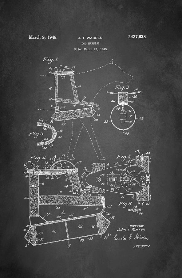 Dog Harness Patent 1945 Digital Art by Patricia Lintner