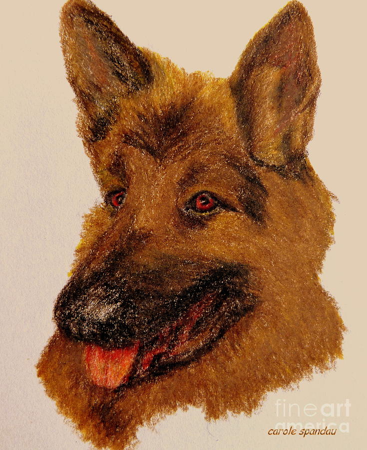 Dog  Iphone Cases Smart Phones Cells And Mobile Phone Cases Carole Spandau 312 Painting by Carole Spandau