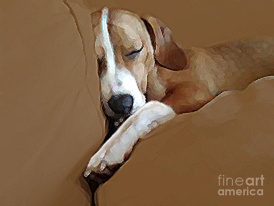 Dog Digital Art - Dog - Mr. Oliver Snoozing by Maureen Tillman
