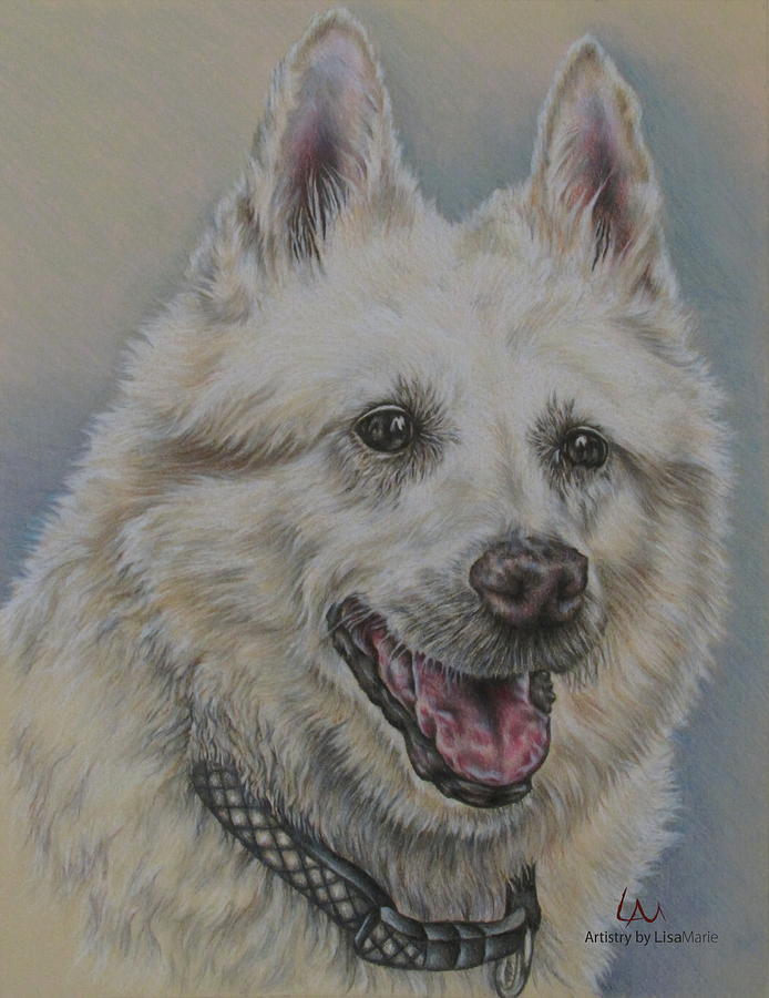 Dog Drawing - Dog Portrait of Shep Mix by Lisa Marie Szkolnik