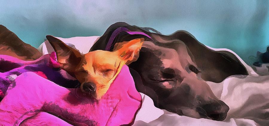 Dog Portrait two dogs resting together in magenta and gray in acrylic Painting by MendyZ