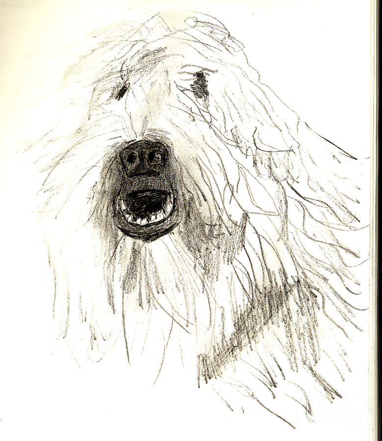 Dog Drawing by Sandy McIntire