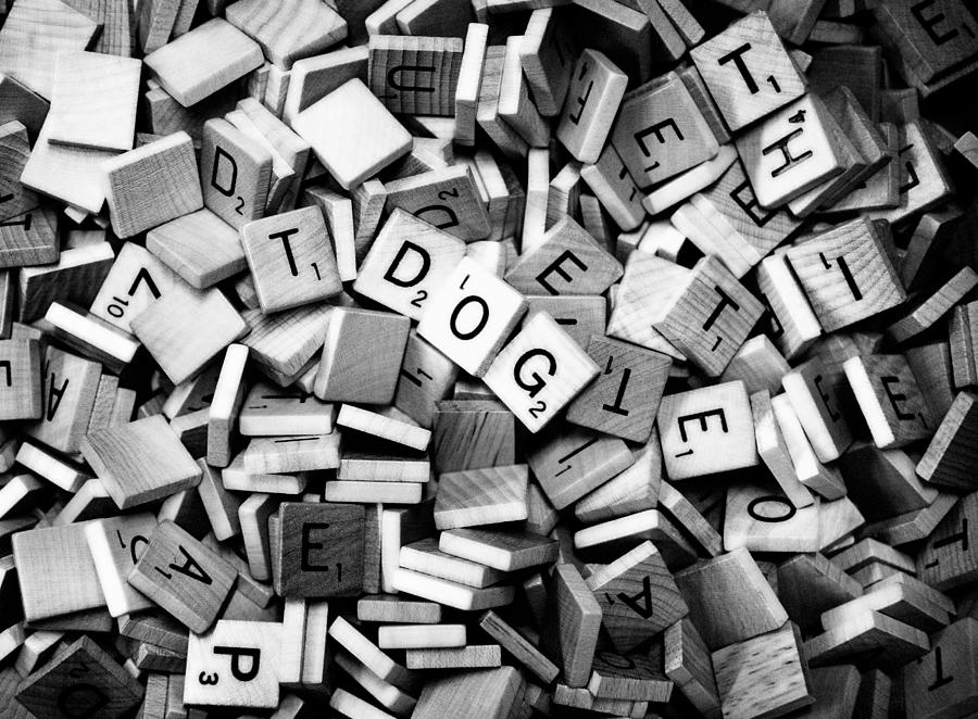 Dog Scrabble 2 Photograph by Marilyn Hunt