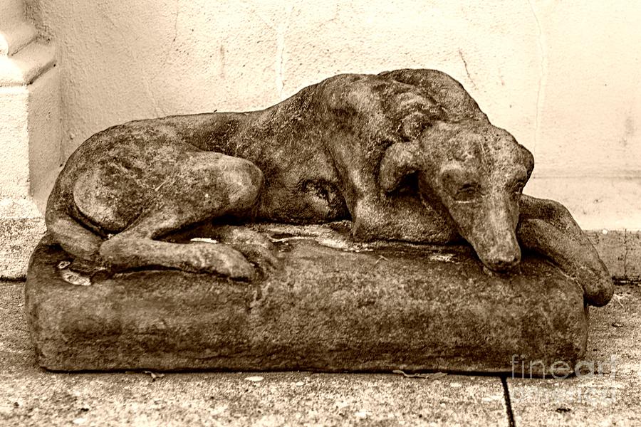 Dog Sculpture Photograph by John Harmon