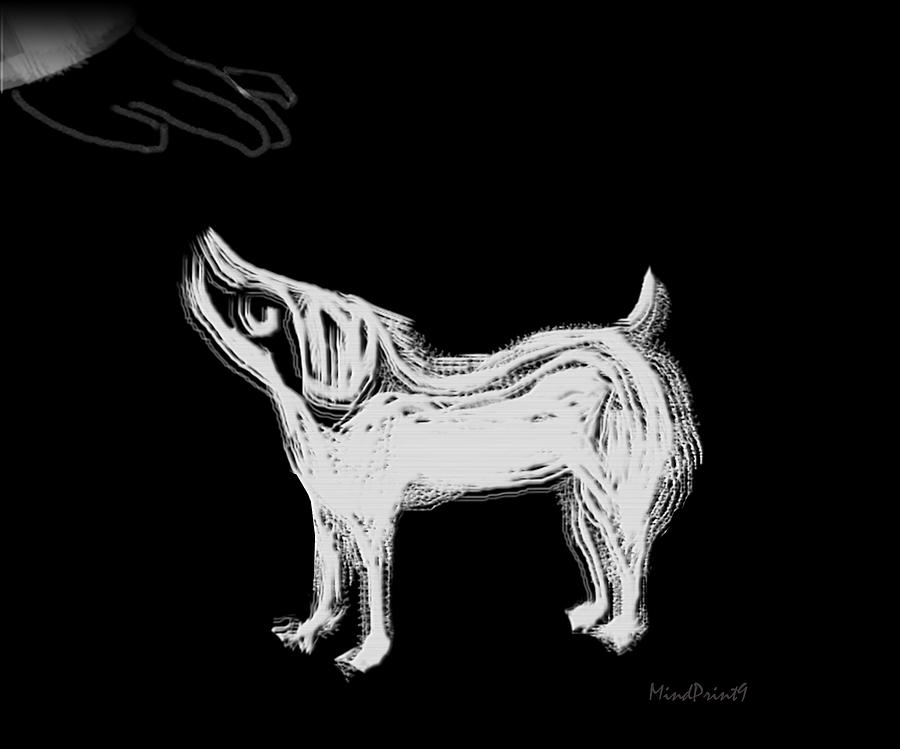 Dog-sense Digital Art by Asok Mukhopadhyay
