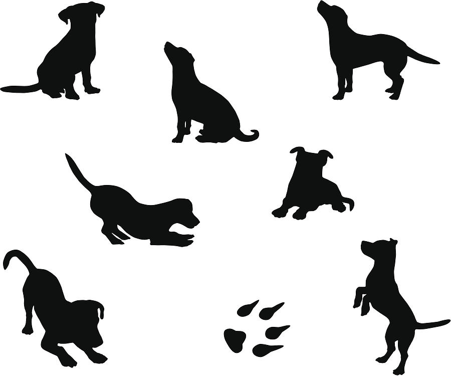 Dog silhouettes Drawing by Linearcurves